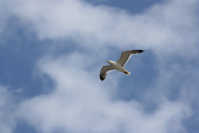 IMG_3226.JPG