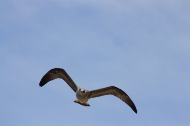 IMG_3242.JPG