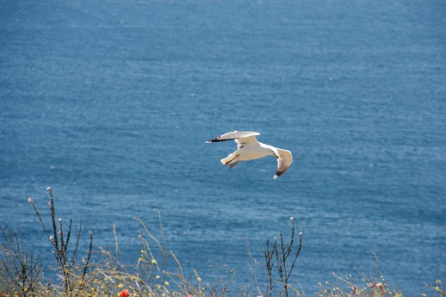 IMG_1373.JPG