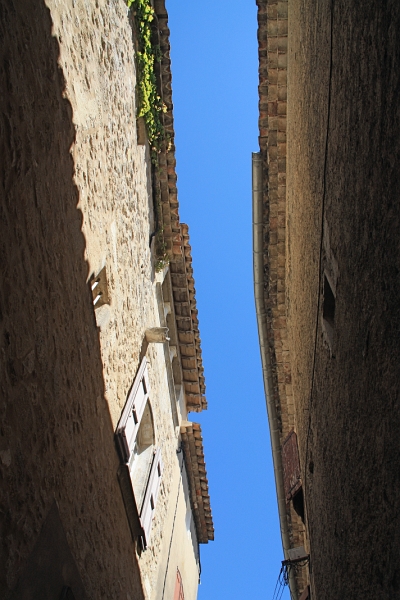 IMG_3431.JPG