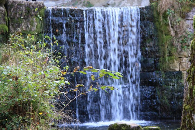 IMG_6782.JPG