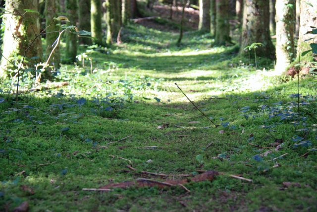 IMG_6852.JPG