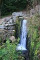IMG_6811