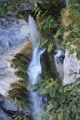 IMG_6920