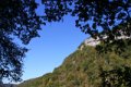 IMG_6950