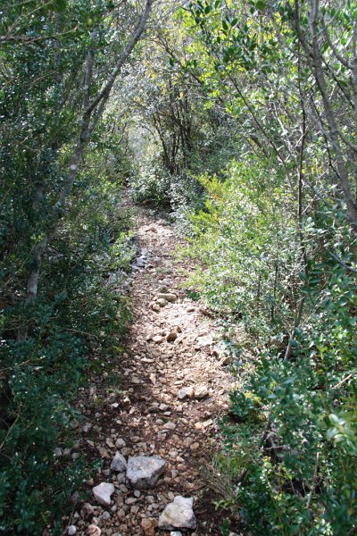 IMG_3683.JPG