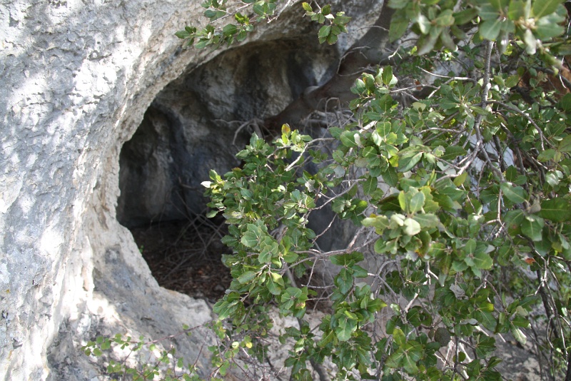 IMG_6551.JPG - A LA SORTIE DE LA GROTTE PETITE BAUME 