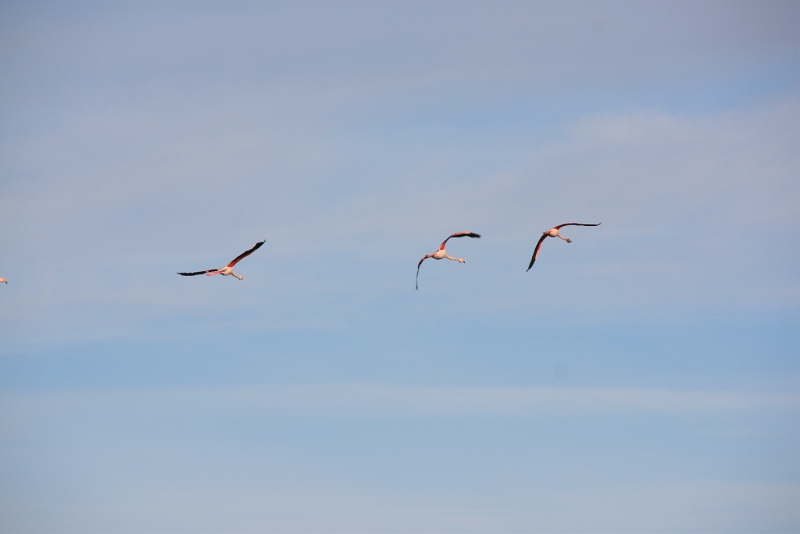 IMG_4030.JPG