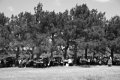 IMG_0847