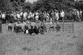 IMG_0964