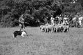 IMG_1136