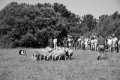 IMG_1150