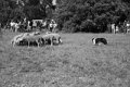 IMG_1151