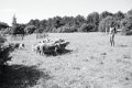 IMG_1190