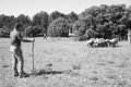 IMG_1205