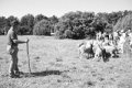 IMG_1218