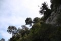 IMG_9737