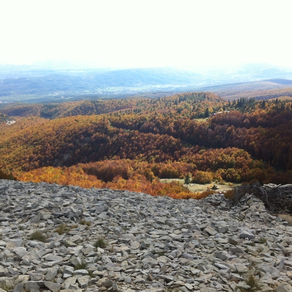 IMG_0085_2.jpg