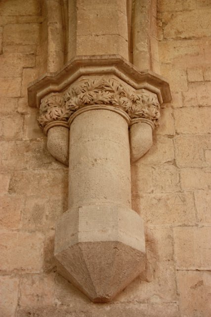 IMG_9069.JPG