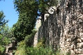 IMG_2205