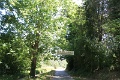 IMG_2270