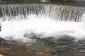 IMG_2284