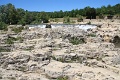 IMG_2296