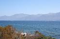 IMG_0015_2