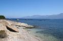 IMG_0020_2