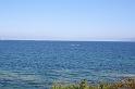 IMG_0037_2