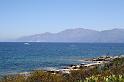 IMG_0038_2