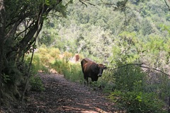 LA VALLEE DU FANGO