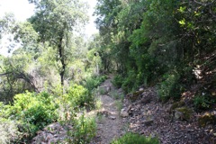 LA VALLEE DU FANGO