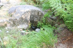 LA VALLEE DU FANGO