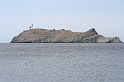 IMG_0082