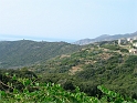 corse99iacolstelucie
