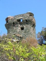 CAP CORSE