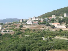 CAP CORSE