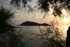 CAP CORSE