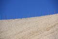 IMG_1059
