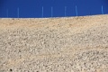 IMG_1062