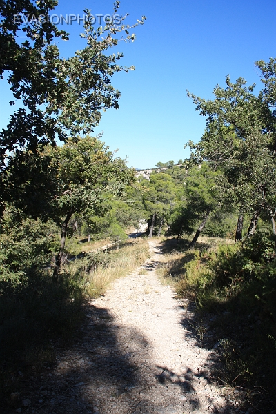 IMG_2584.jpg