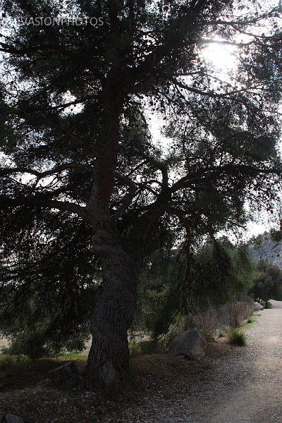 IMG_5762.jpg