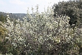 IMG_0048