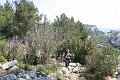 IMG_0052