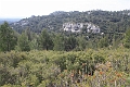 IMG_0106