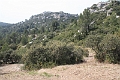 IMG_0156