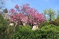 IMG_0169