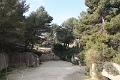 IMG_9857