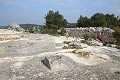 IMG_9900